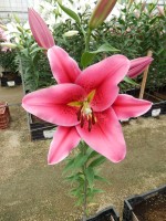 [4568 VH44 No02.JPG]